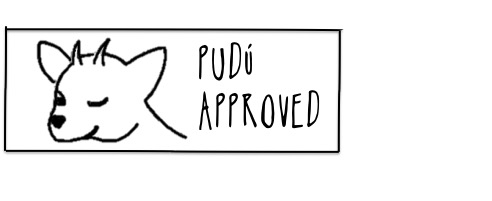PUDU APPROVED